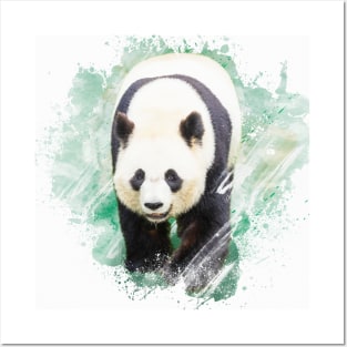 Panda Bear Animal Forest Wildlife China Bamboo Nature Asia Digital Painting Posters and Art